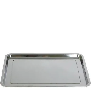 Поднос нерж 50*35