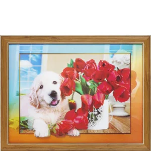 Картина 5D 30*40 Подарок FA030 (664775)